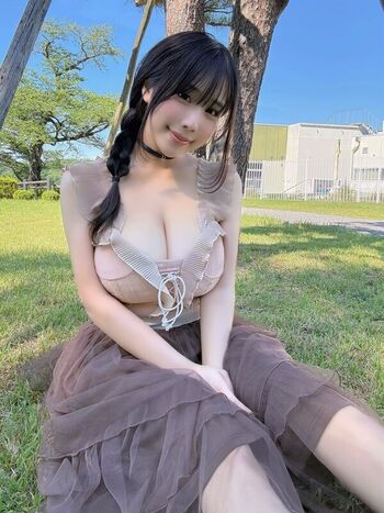 Towa Rabbit