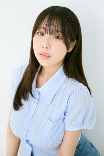 Towa Rabbit