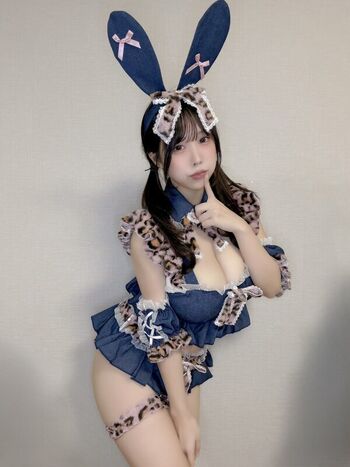 Towa Rabbit