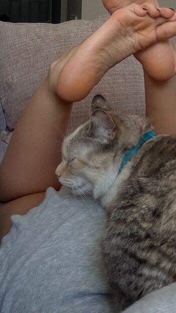 Tray.fitfever | Tray Soe