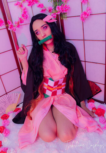 Tsukihime Cosplays