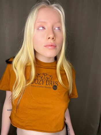 Velvetvalen