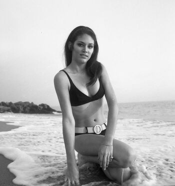 Vintage Starlets