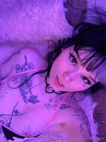 violetisawallflower