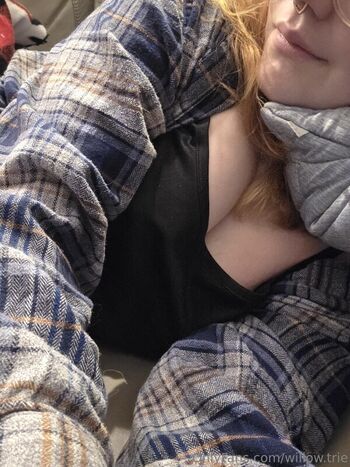 Willow.Trie